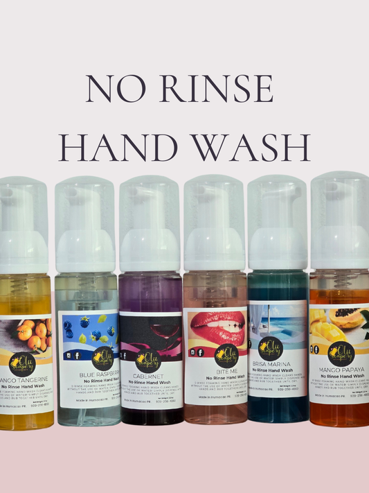 NO Rinse Soap (Jabón sin enjuague)