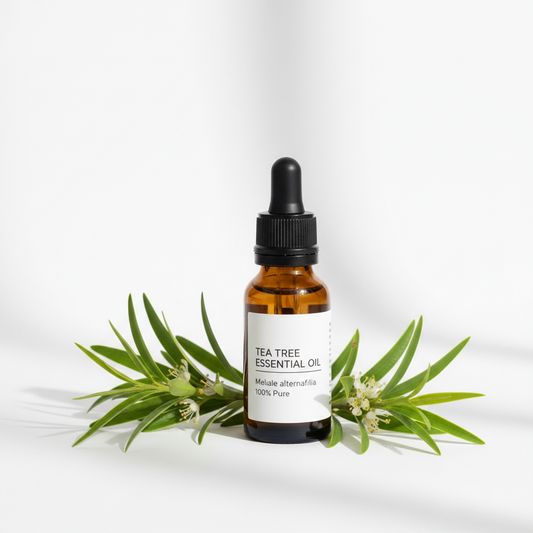 Aceite Esencial de Tea Tree 100% Puro | Melaleuca Essential Oil para Jabones, Skincare y Aromaterapia