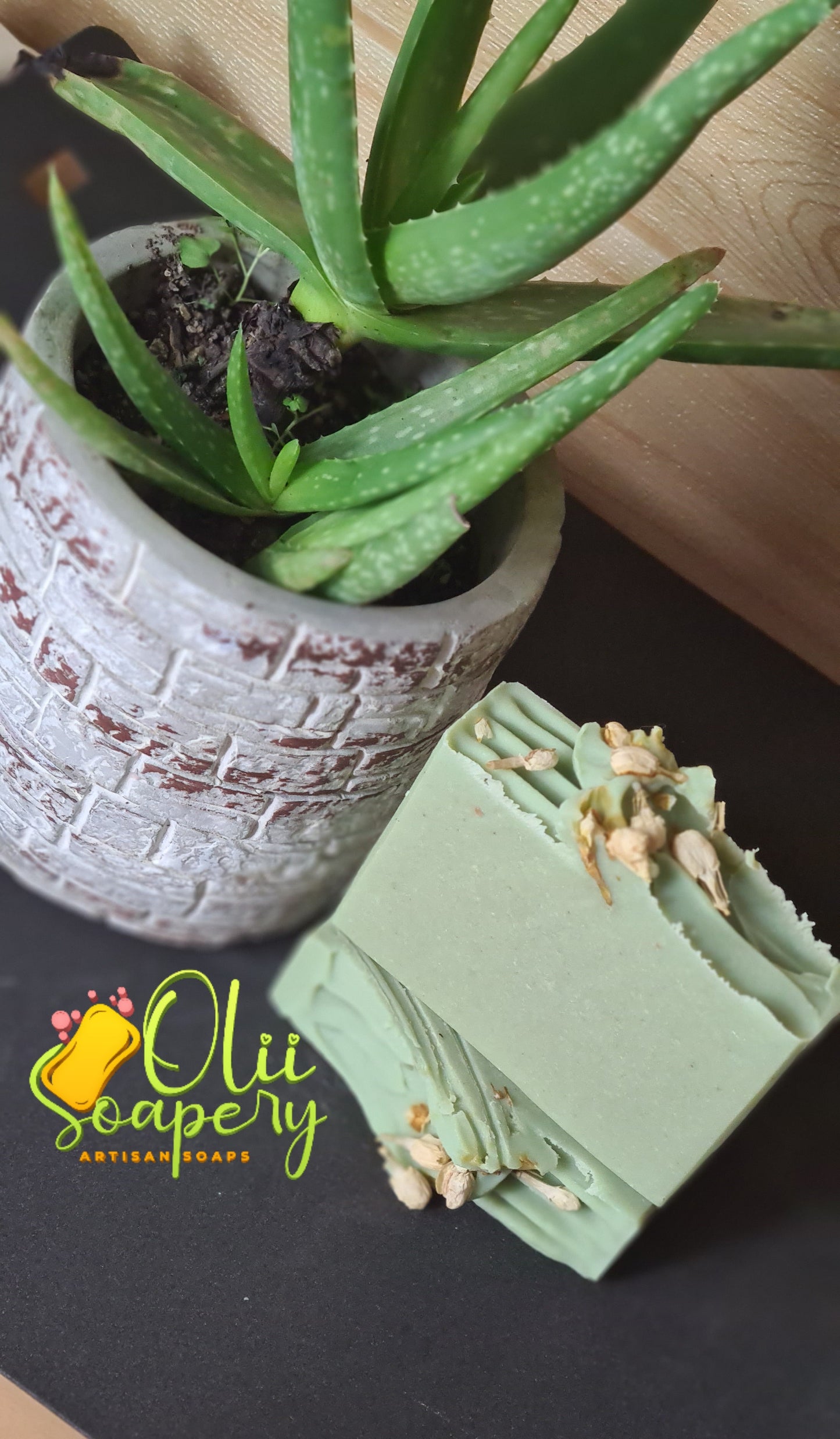 SABILA/ ALOE VERA
